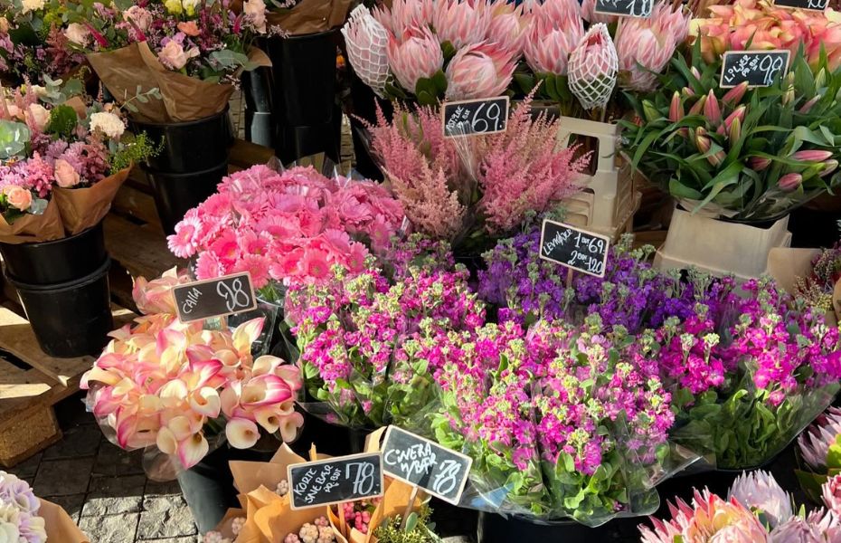 friske blomster
